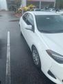 Thumbnail of 2019 Super White Toyota Corolla