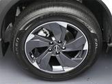 Thumbnail of 2026 Everest White Pearl Tricoat Nissan Rogue