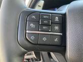 Thumbnail of 2025 Carbonized Gray Metallic Ford F-150
