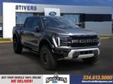 Photo of 2025 Carbonized Gray Metallic Ford F-150