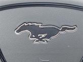 Thumbnail of 2025 Shadow Black Ford Mustang Mach-E