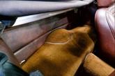 Thumbnail of 1974 Mimosa Yellow Triumph TR6