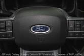 Thumbnail of 2023 Avalanche Gray Ford F-150 Lightning
