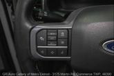 Thumbnail of 2023 Avalanche Gray Ford F-150 Lightning