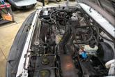 Thumbnail of 1995 White Ford F-250