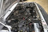 Thumbnail of 1995 White Ford F-250