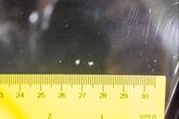 Thumbnail of 2006 Black Porsche 911