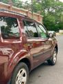 Thumbnail of 2013 Burgundy Honda Pilot