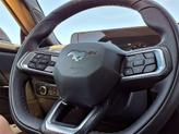 Thumbnail of 2025 Shadow Black Ford Mustang