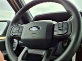 Thumbnail of 2025 Carbonized Gray Metallic Ford F-150