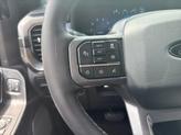 Thumbnail of 2025 Gray Metallic Ford F-150