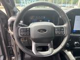 Thumbnail of 2025 Gray Metallic Ford F-150