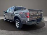 Thumbnail of 2014 Gray Ford F-150