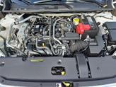 Thumbnail of 2022 Fresh Powder Nissan Sentra