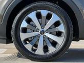 Thumbnail of 2022 Dark Moss Kia Telluride