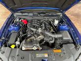 Thumbnail of 2013 Blue Ford Mustang