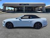 Thumbnail of 2022 Oxford White Ford Mustang