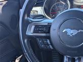 Thumbnail of 2022 Oxford White Ford Mustang