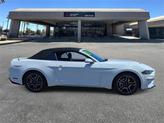 Thumbnail of 2022 Oxford White Ford Mustang