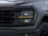 Thumbnail of 2025 Agate Black Metallic Ford F-150