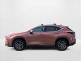 Thumbnail of 2025 Copper Crest Lexus NX 350h
