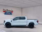 Thumbnail of 2025 Oxford White Ford F-150