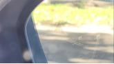 Thumbnail of 2025 Brilliant Silver Metallic Nissan Rogue