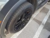 Thumbnail of 2023 Platinum Gray Metallic Volkswagen Tiguan