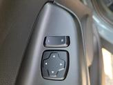 Thumbnail of 2023 Cactus Fern Hyundai KONA