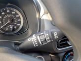 Thumbnail of 2023 Cactus Fern Hyundai KONA