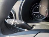 Thumbnail of 2023 Cactus Fern Hyundai KONA