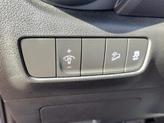 Thumbnail of 2023 Cactus Fern Hyundai KONA