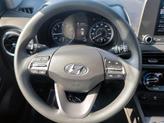 Thumbnail of 2023 Cactus Fern Hyundai KONA