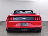 Thumbnail of 2023 Race Red Ford Mustang