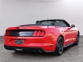Thumbnail of 2023 Race Red Ford Mustang