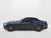 Thumbnail of 2016 Shadow Black Ford Mustang