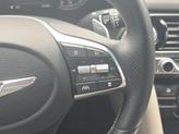 Thumbnail of 2022 Siberian Ice Genesis G70