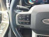 Thumbnail of 2024 Gray Metallic Ford F-250