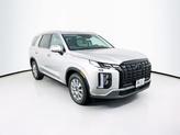 Photo of 2025 Typhoon Silver Hyundai PALISADE