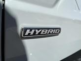 Thumbnail of 2023 Cactus Gray Ford Maverick
