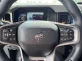 Thumbnail of 2022 Cactus Gray Ford Bronco