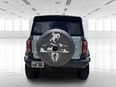 Thumbnail of 2022 Cactus Gray Ford Bronco