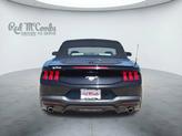 Thumbnail of 2024 SHADOW BLACK Ford Mustang