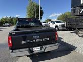 Thumbnail of 2021 Agate Black Metallic Ford F-150