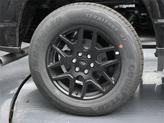 Thumbnail of 2025 Agate Black Metallic Ford F-150