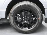 Thumbnail of 2025 Iconic Silver Metallic Ford F-150