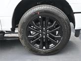 Thumbnail of 2025 Oxford White Ford F-150
