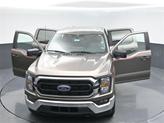 Thumbnail of 2023 Stone Gray Metallic Ford F-150