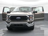 Thumbnail of 2023 Stone Gray Metallic Ford F-150