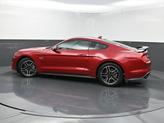 Thumbnail of 2021 Rapid Red Metallic Tinted Clearcoat Ford Mustang